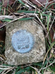 photo (1)
